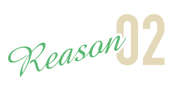 Reason 02