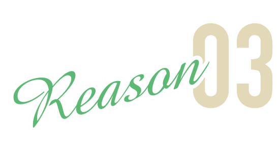 Reason 03